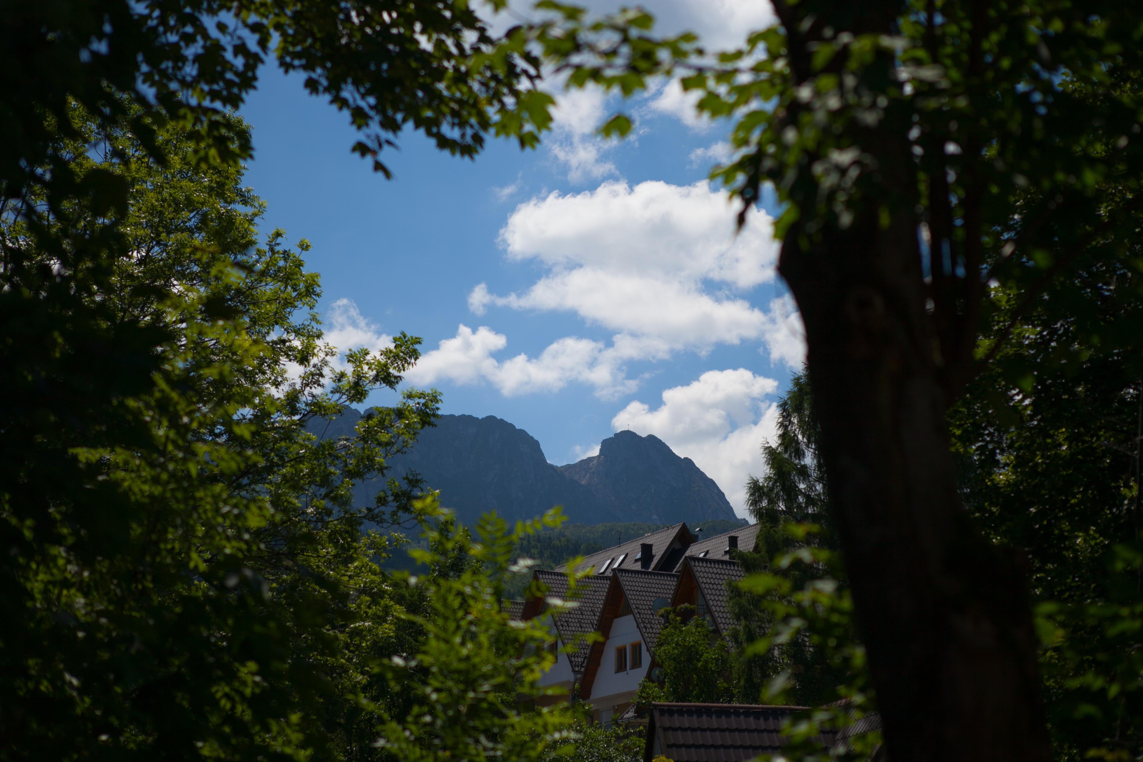 Szarotka Hotel Zakopane Exterior foto